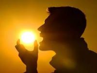 Everything You Need To Know About Vitamin&nbsp;D